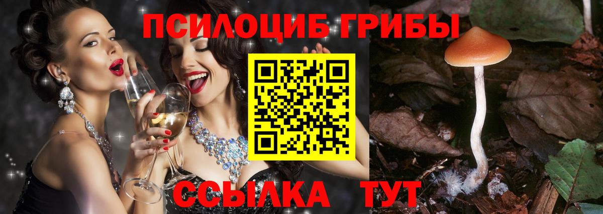 Галлюциногенные грибы прущие грибы Тихвин